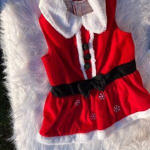 Pet Santa Costume with Black Belt